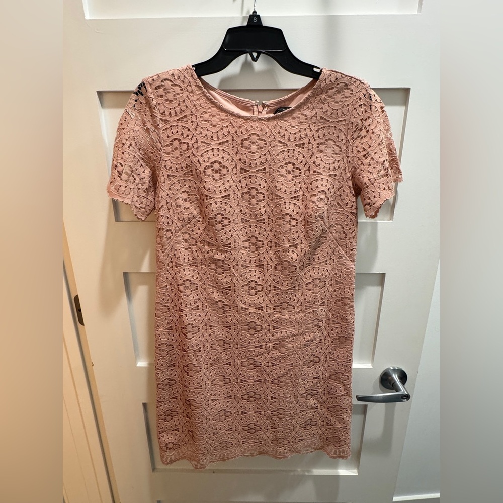 Ann Taylor Blush Lace Dress